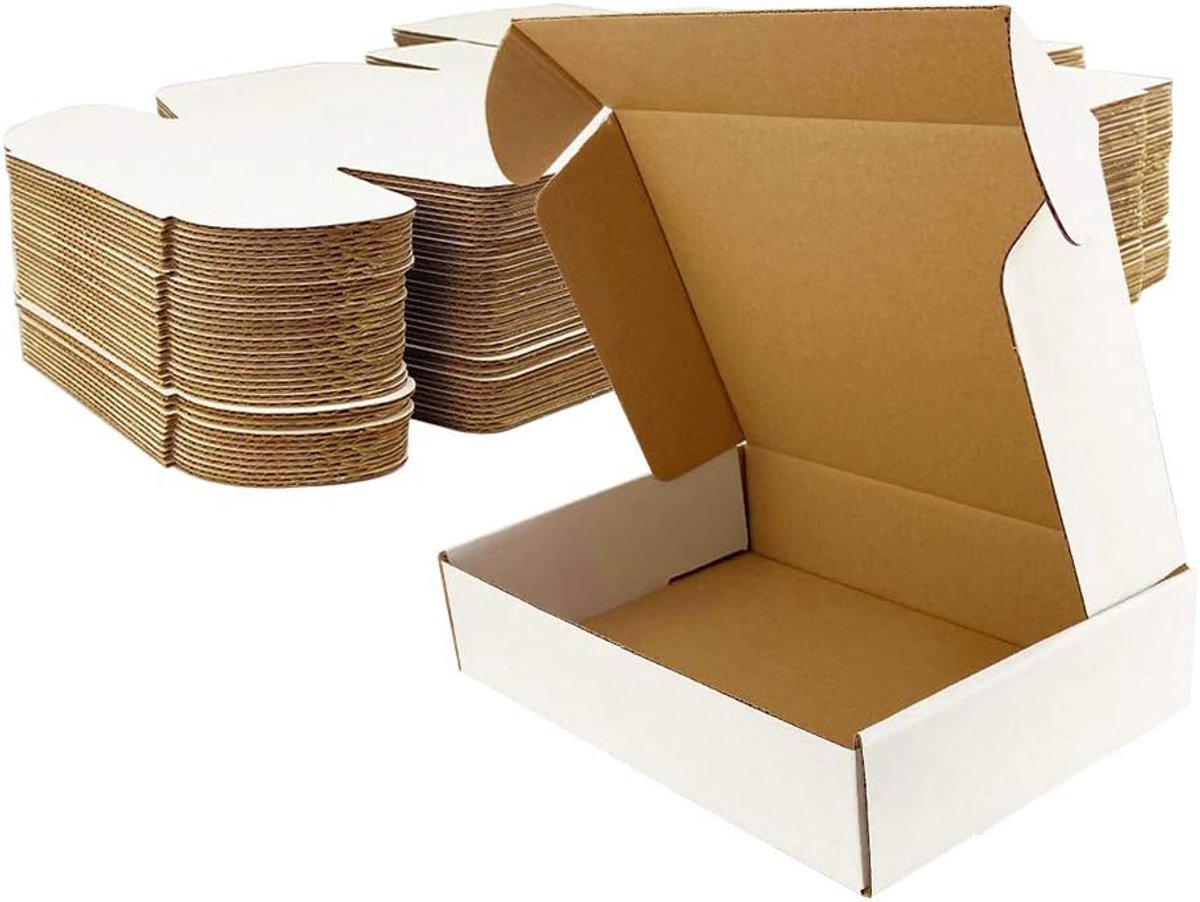 SnelShoppen - Witte Kartonnen Verzenddozen 9x6x2 inch 25-pack, Lichtgewicht en Duurzaam, voor Briefverzending, E-commerce, Cadeaus, en Meer