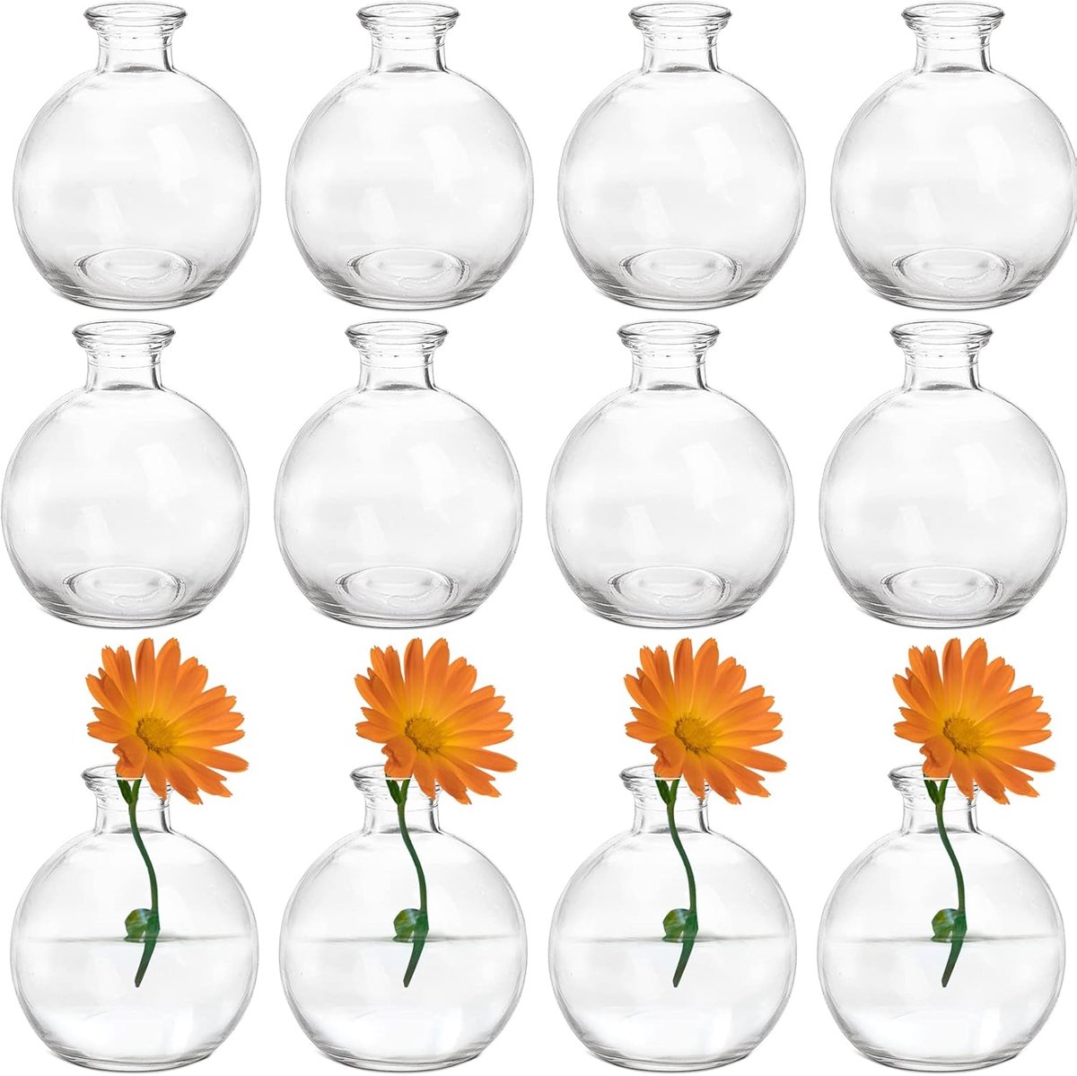 SnelShoppen - Set van 12 Mini Glazen Bol Vazen - Unieke Lage Bloemenvazen voor Bloemen, Decoratie, Bruiloften, Feesten, Evenementen, Lichtgewicht, 4''