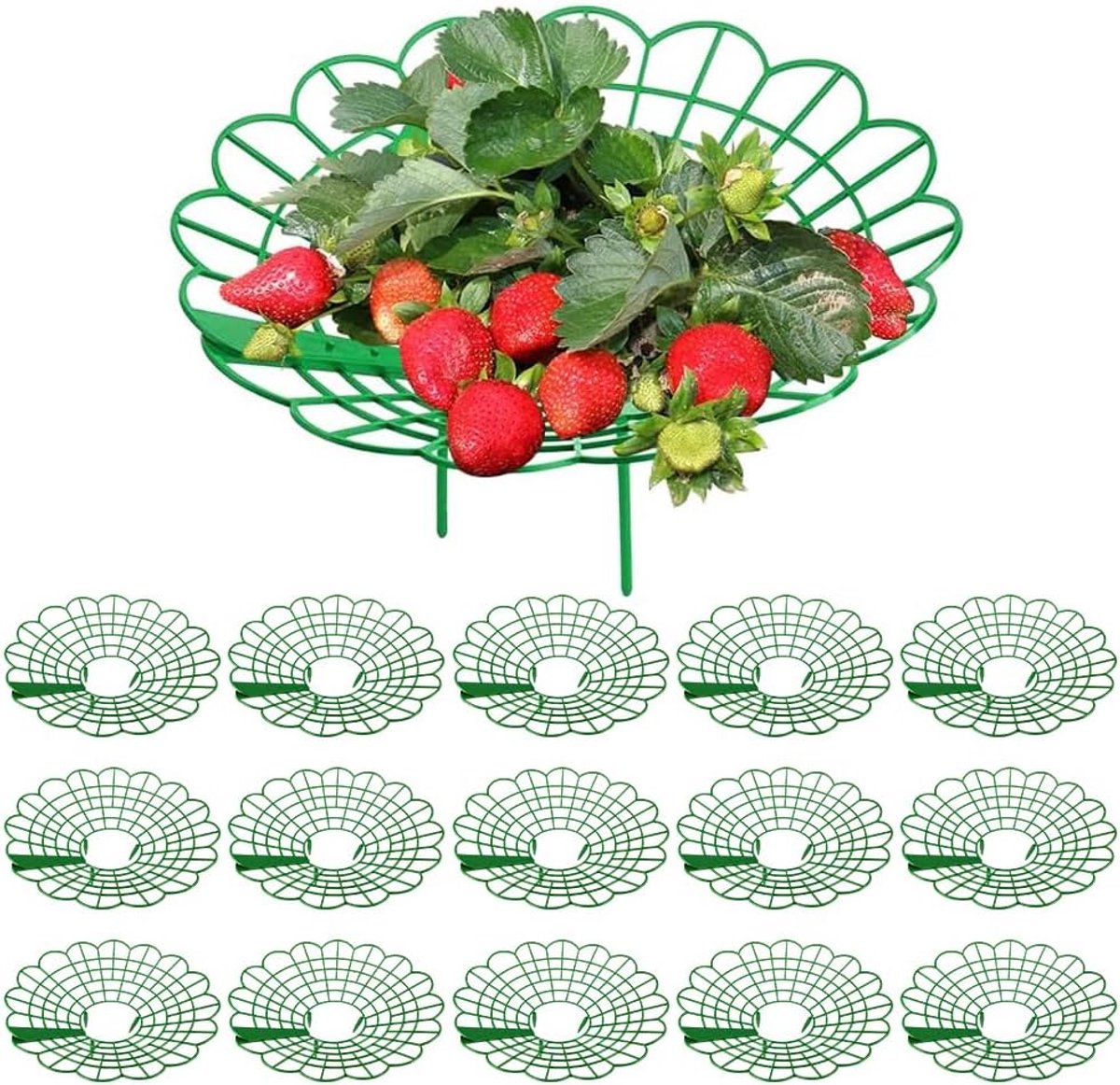 SnelShoppen - 15 Stuks Aardbeiensteunen 30 cm - Aardbeienrek met Slakkenbescherming en Aardbeiennet - Perfect voor Tuin, Balkon en Aardbeiplanten - Be
