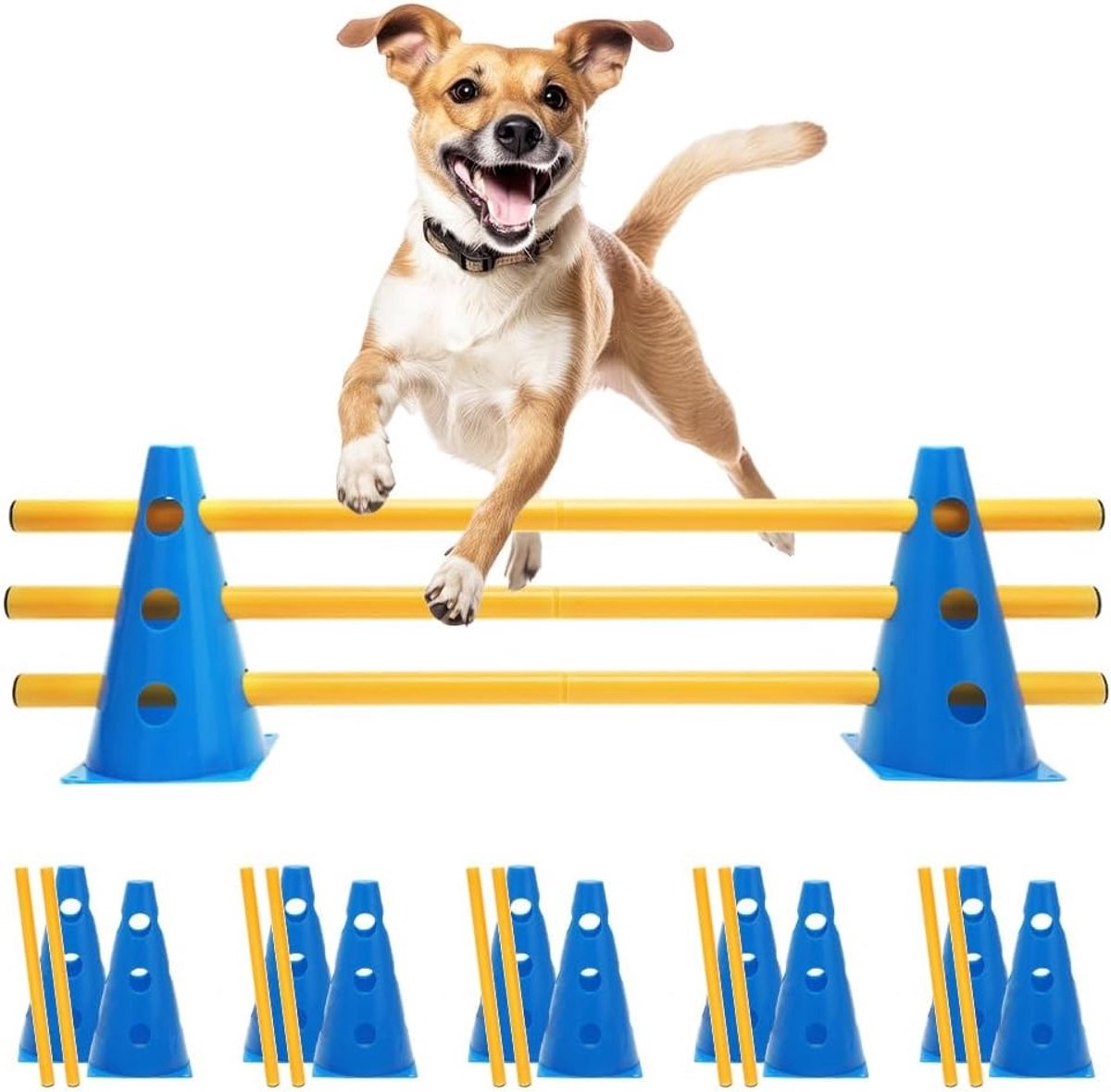 Agility Set voor Honden met Cavaletti Hordes, 10 Cones en 5 Poles voor Training, Weerbestendig en Stabiel, Ideaal voor Dieren en Voetbaltraining