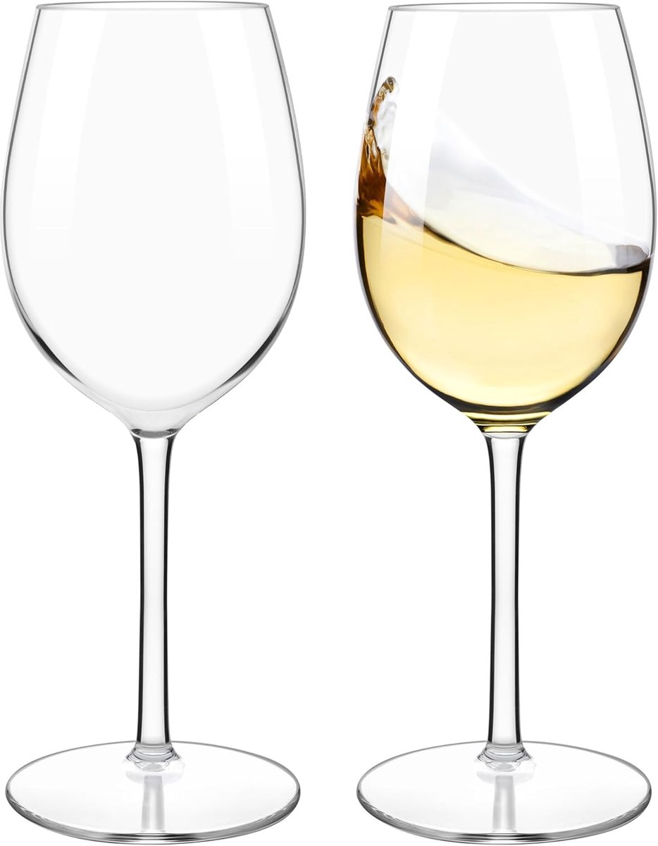 SnelShoppen - Shatterproof Tritan Plastic Wijn Glazen Set van 2 - 530ml Onbreekbare Rode Wijn Glazen - Perfect voor Feest, Camping en Tuin