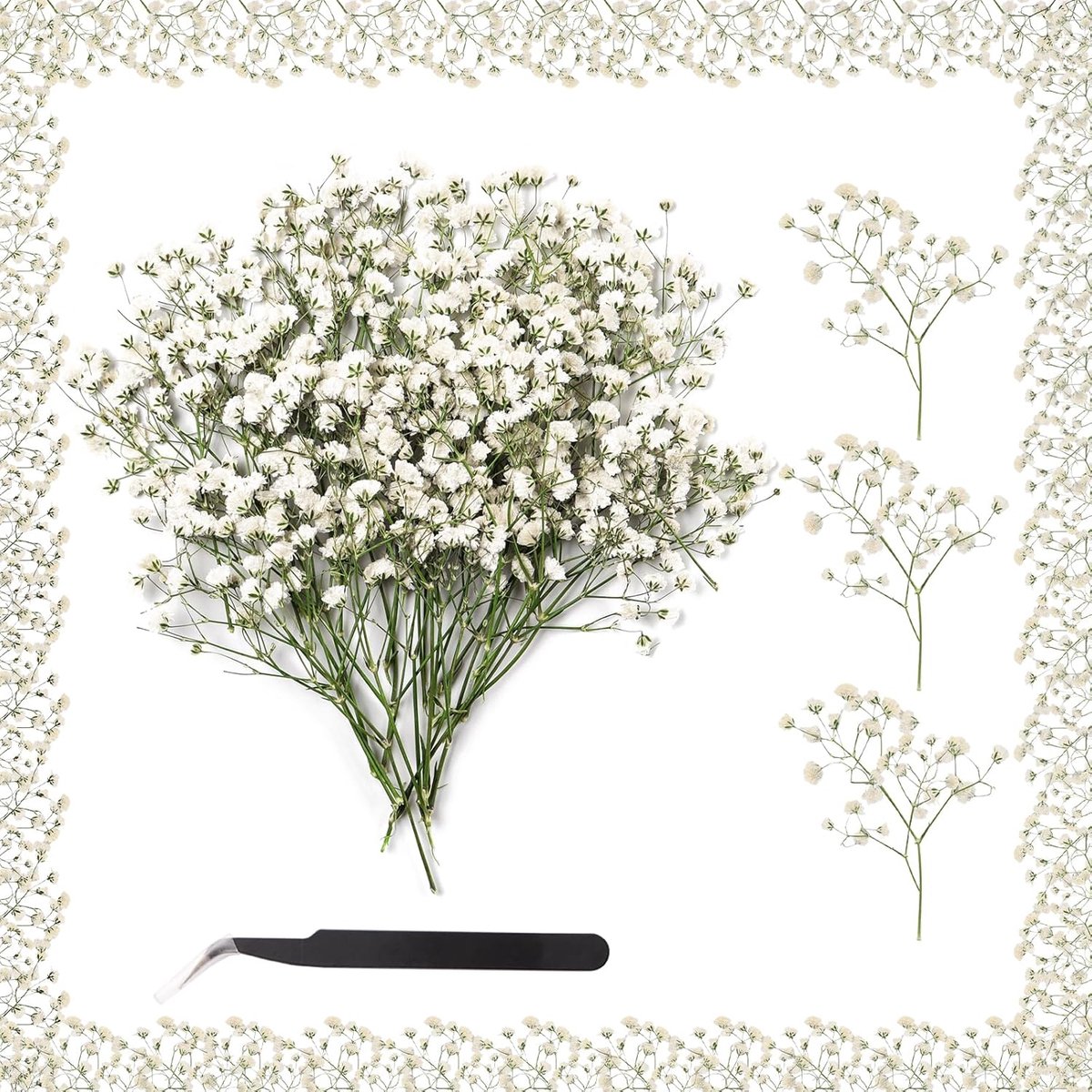 SnelShoppen - 100 Stuks Gedroogde Gypsophila Witte Bloemen - Natuurlijke Persbloemen voor DIY Handwerk, Scrapbooking, Decoratie, Kaarsen, Hars, Sierad