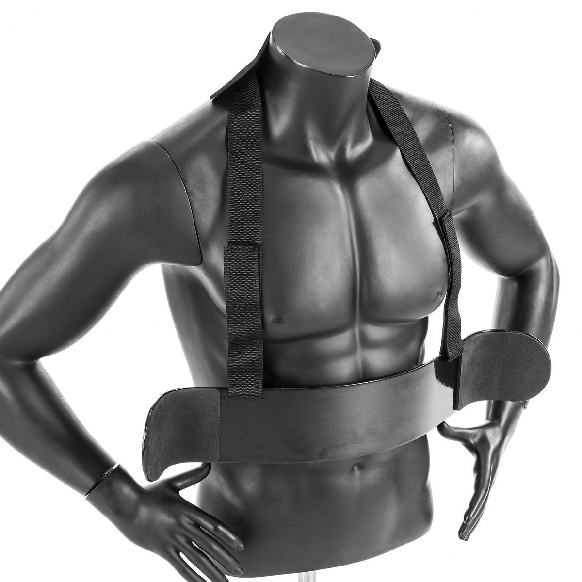 Taurus Bicep Isolator Curl