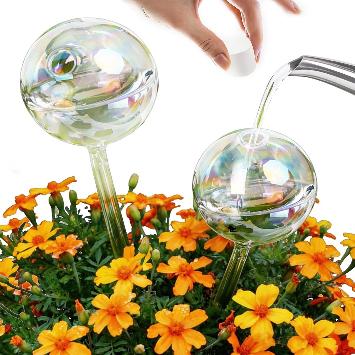 dellyy Set van 2 glazen bewateringsballen, automatisch, irrigatieapparaat voor planten, bloemen, binnen en buiten, decoratie voor binnen en buiten