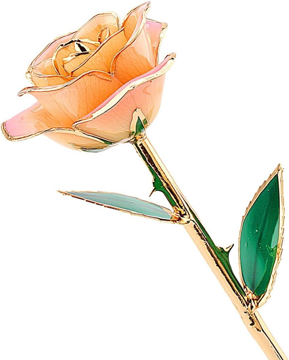 Gouden Roos - Eeuwige Roos Gedipte Roos - Cadeau Geven - Echte Roos Goud Gedoopt - 31 cm - Wit-Roze