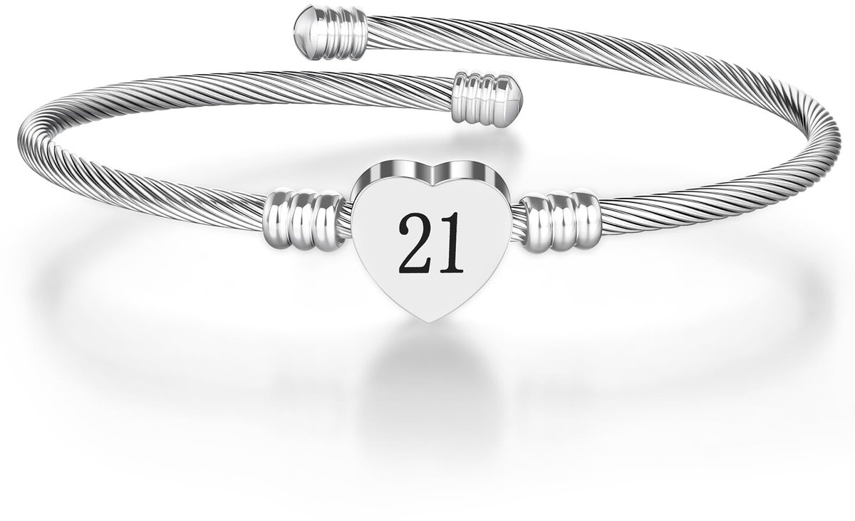 Hart Armband, Slangenschakel Armband, Roestvrijstalen Verstelbare, Sieraden Cadeau voor Vrouwen en Meisjes, Valentijnsdag, Verjaardag, Kerstcadeau voor Vriendin