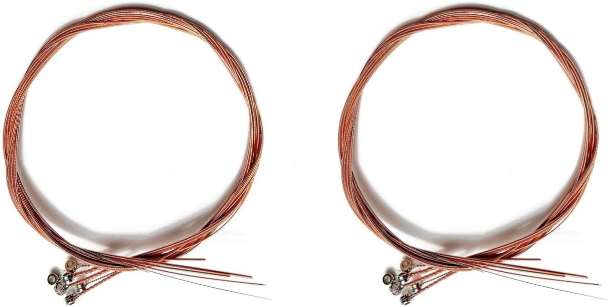 Set van 2 Rvs Gitaar Snaren, Bestendige en Roestvrije Snaren voor Akoestische Gitaren, Vervangingssnaren voor Optimaal Geluid