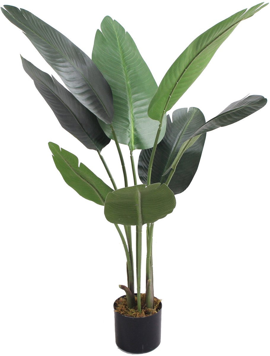Decovego Kunstmatige Bananenboom, Gedetailleerde Kunstplant 115 cm, Kunstmatige Bananenplant voor Thuis & Kantoor, Onderhoudsvriendelijk & Allergievriendelijk