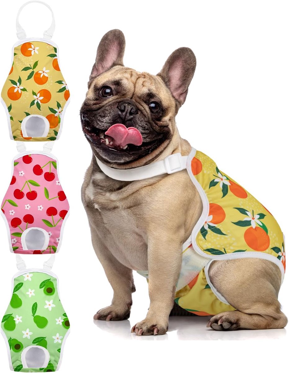 Menstruatiebroek voor honden, 3 stuks, herbruikbare hondenluiers voor dames met verstelbare bretels, wasbare maandverband voor vrouwelijke honden katten puppy (fruit, L)