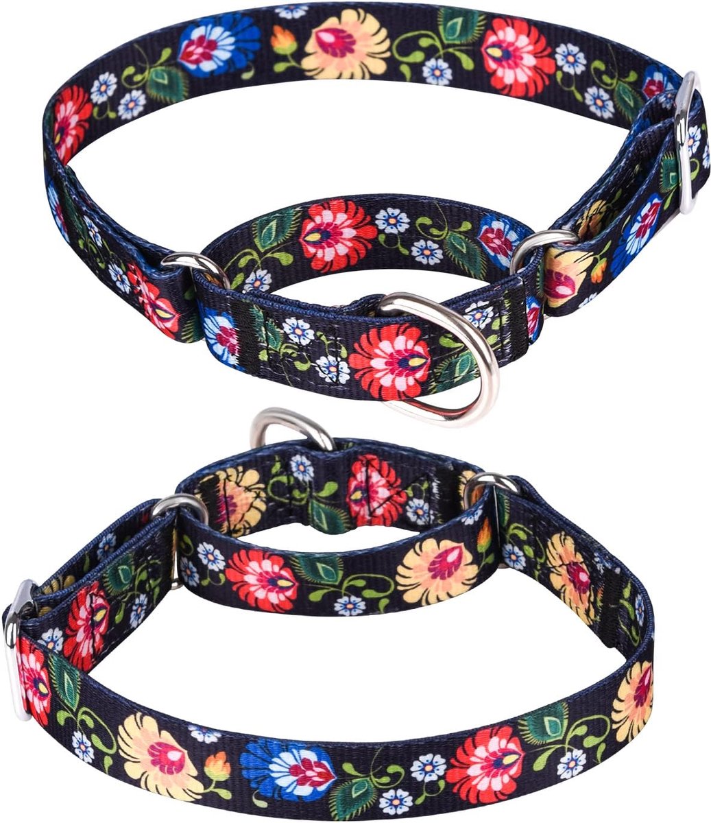 Duty Nylon Verstelbaar Martingale Hondenhalsband voor Wandeltraining Jongens en Meisjes Honden (L:45-53CM, Zwart)