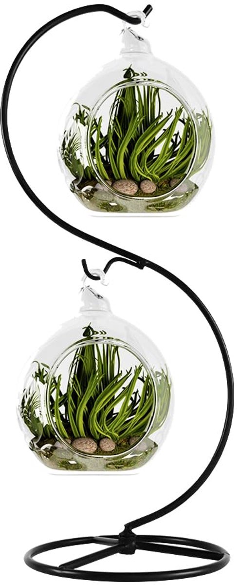 SnelShoppen - IJzeren Ornament Display Stand voor Glazen Globe, Terrarium Bal en Air Plant - Ophangende Haken voor Kerstversiering en Huwelijksdecorat