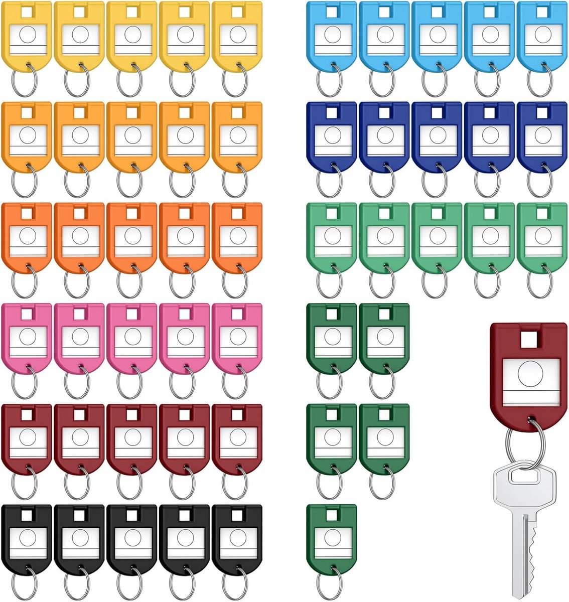 50 stuks sleutelhangers, beschrijfbaar, kunststof sleutelhangers met etiketten, sleutelborden, sleutelbelettering, voor sleutels, thuis, kantoor, huisdierID-koffer (10 kleuren)
