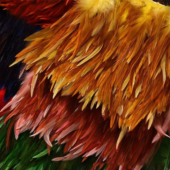 3 m veerboord, veerfranjes met satijnen lint, 10-15 cm breed, veren, franjes, franjes, lint, decoratieve boord, kostuumaccessoire, naai-accessoires voor doe-het-zelf knutselen, kleding, natuurlijke kleur — afbeelding 4