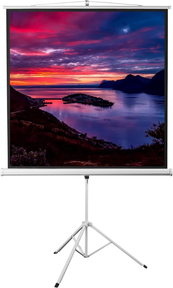 Projectiescherm met Statief - Tripod Scherm Vloerprojectiescherm - Home Cinema - 160° Kijkhoek - 200 x 200 cm - Wit