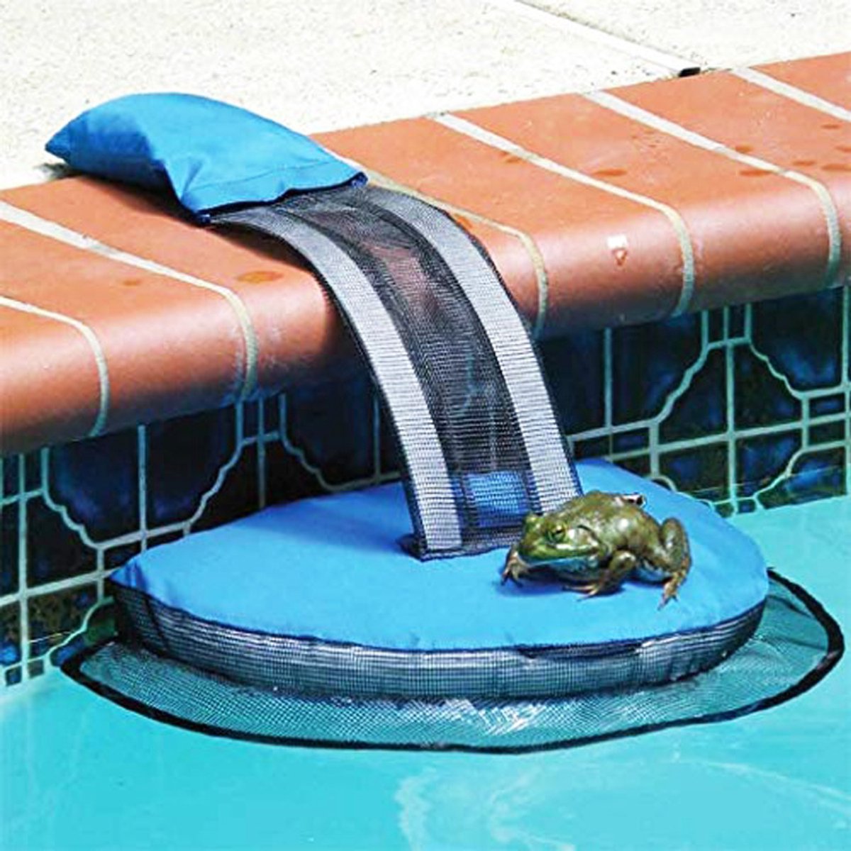 Zwembad accessoires - Opblaasbare zwembad ramp - Zwembad dierenuitgang - Reflecterende Strepen - Zwembad veiligheidsaccessoire voor kikkers, schildpadden en kleine dieren - Blauw