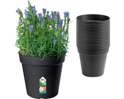Elho Green Basics Grow Pot 17cm | Set van 20 Kweekpotten - Living Black