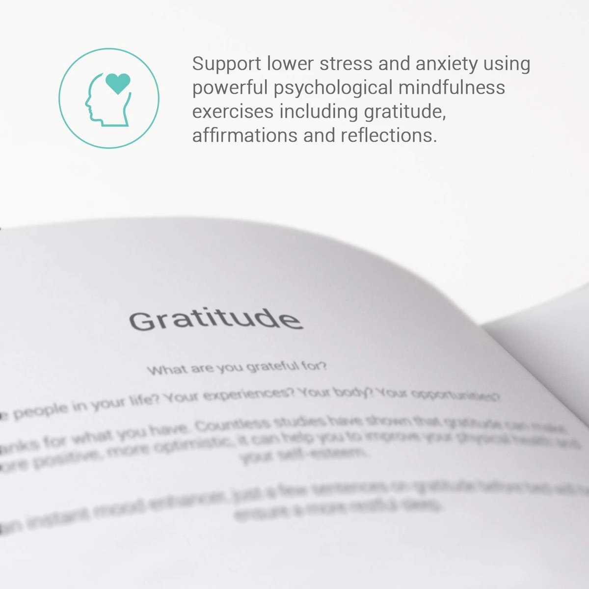 SnelShoppen - 'End Of Day' Wellness Journal A5 - Zelfzorg Notitieboek - Nachtelijke Dankbaarheid, Reflecties, Affirmaties - Geestelijke Gezondheid, St