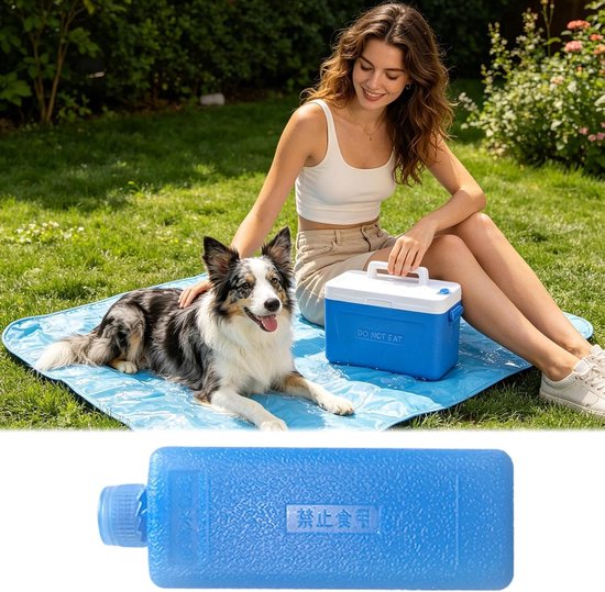 Herbruikbare IJspakketten - Voedselkoeling - Lunchbox Koelen - Directe Koeling - Middelgroot - Blauw — afbeelding 4