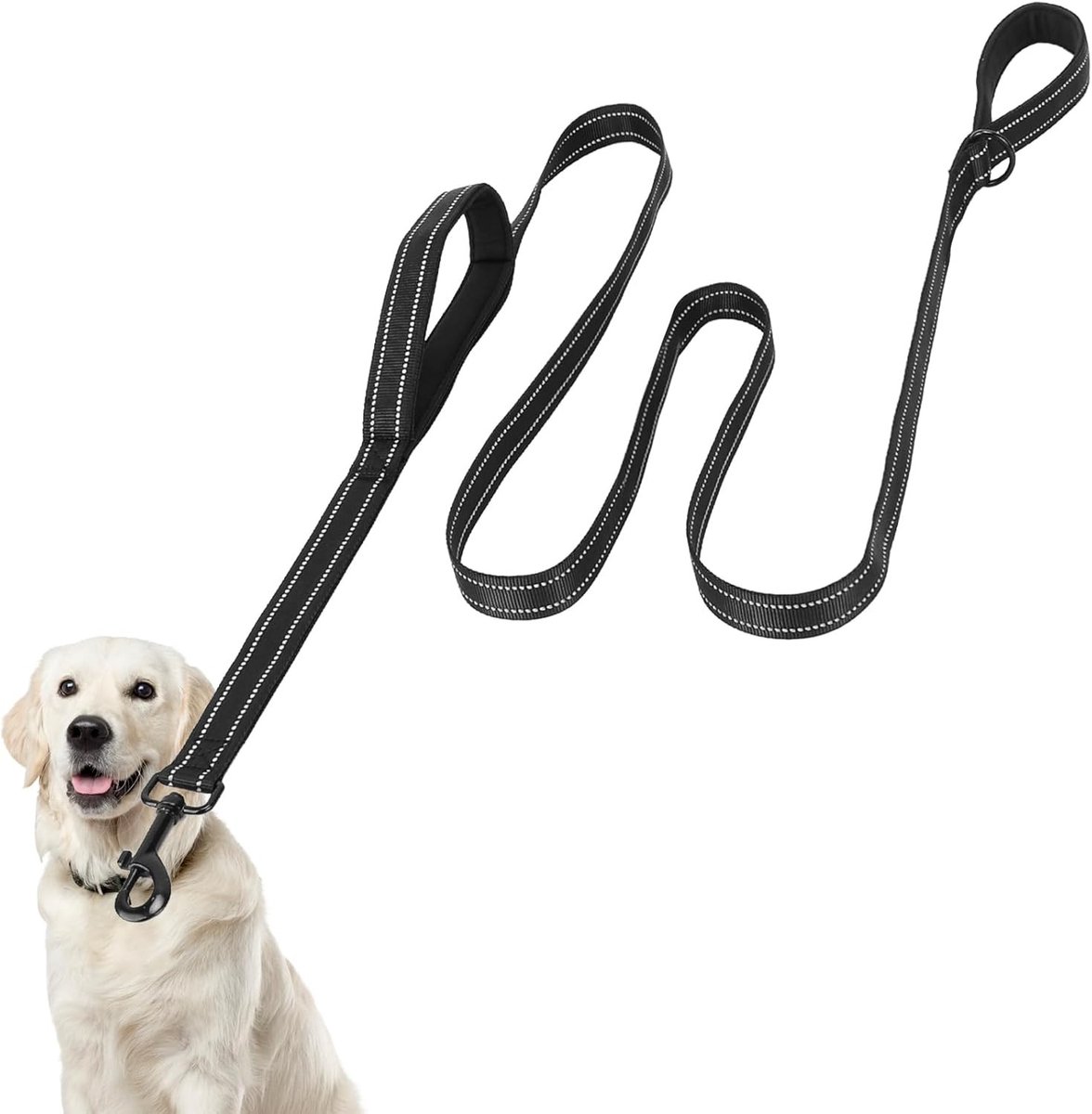 Hondenriem - Zwart - 2 m x 2,5 cm - Nylon met Gevoerde Handgrepen - Voor Grote en Middelgrote Honden
