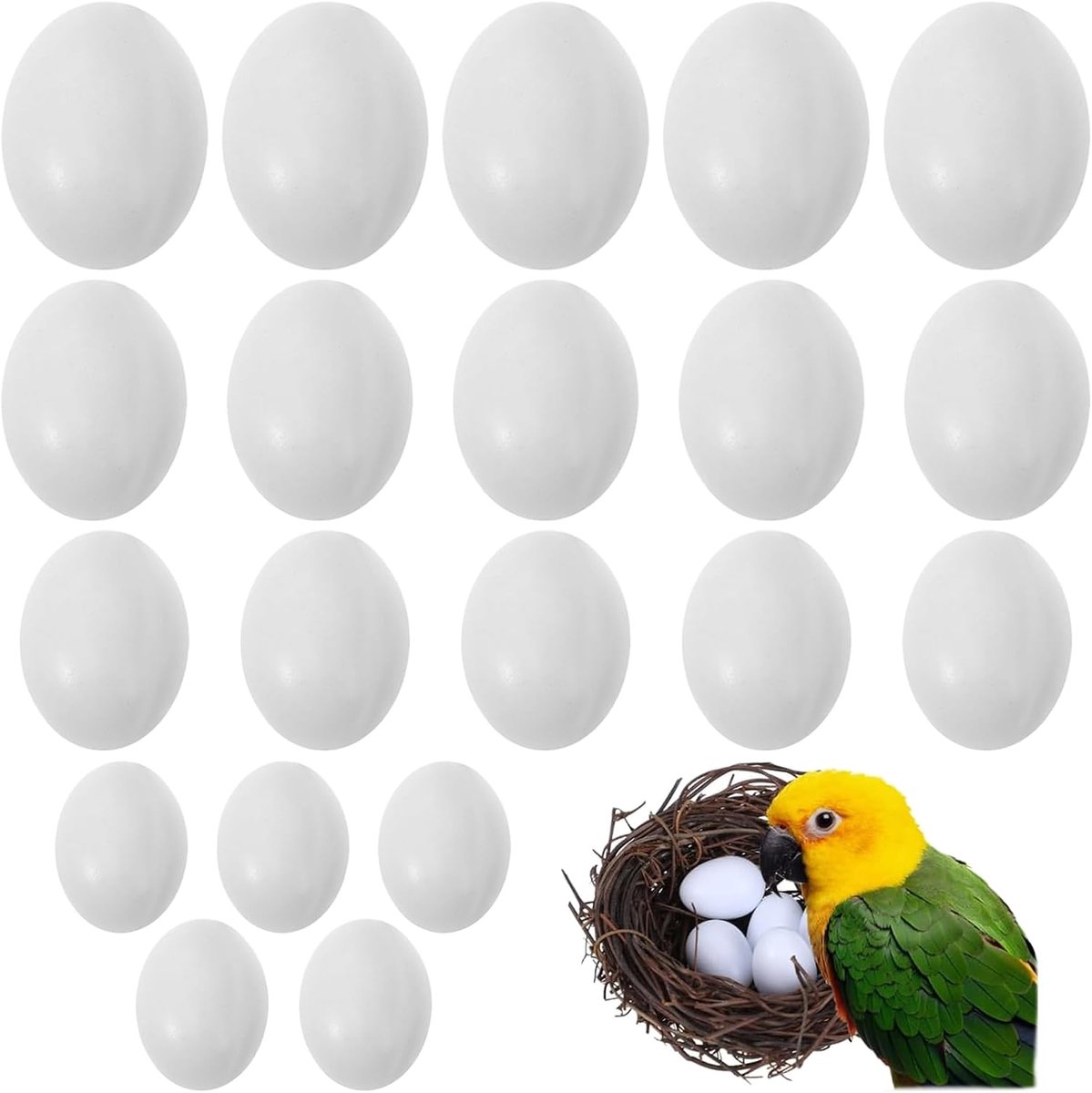 20 stuks schattige vogeleieren, realistische plastic eieren, stopeieren, voor parkieten, groene wangen, Lovebird, ringhalsduif, Lorikeet, Bourke-parkiet, quakpapegaaien