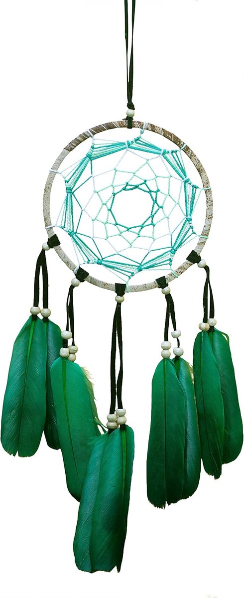 Dromenvanger in drie kleuren, dromenvanger met een diameter van 12 cm, paars, oranje of groen (groen)