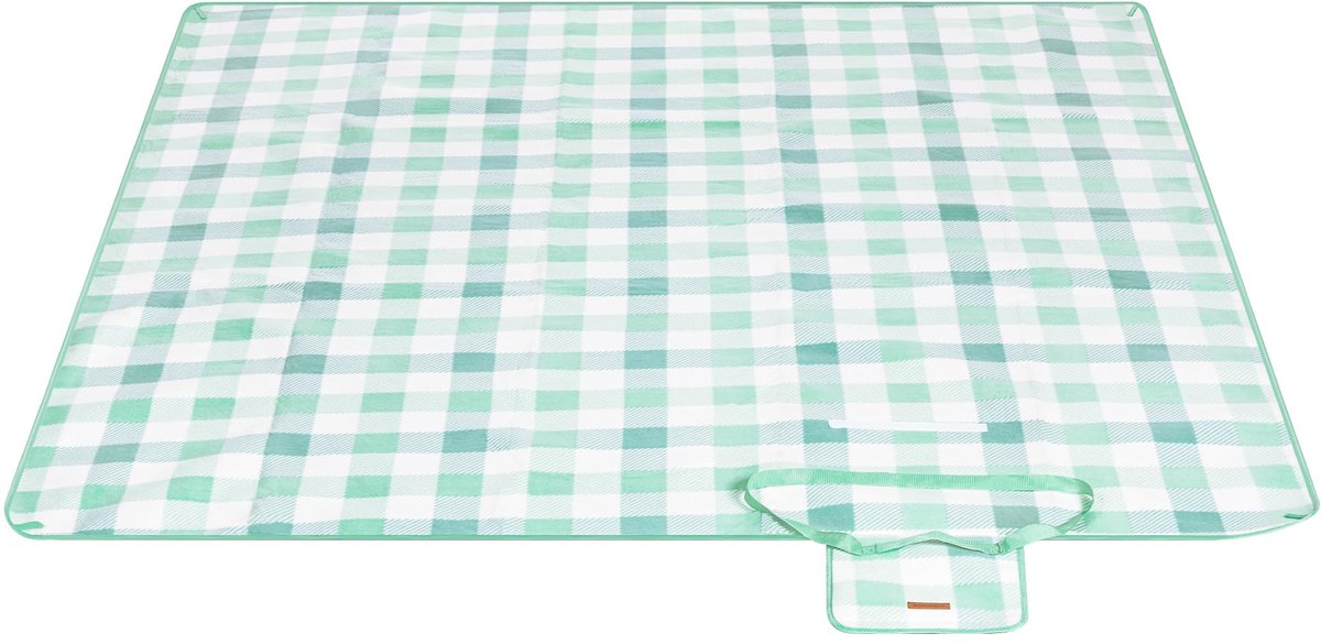 Picknickkleed 200 x 200 cm - Grote Waterdichte Buitenmat met 4 Grondpennen - Opvouwbare Deken voor Camping, Park, Tuin & Strand - Draagbare Outdoor Mat - Groen