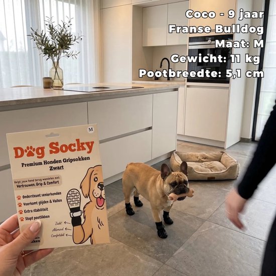 Franse buldog met zwarte antislip sokken, maat M. Staand in een keuken met een productverpakking.