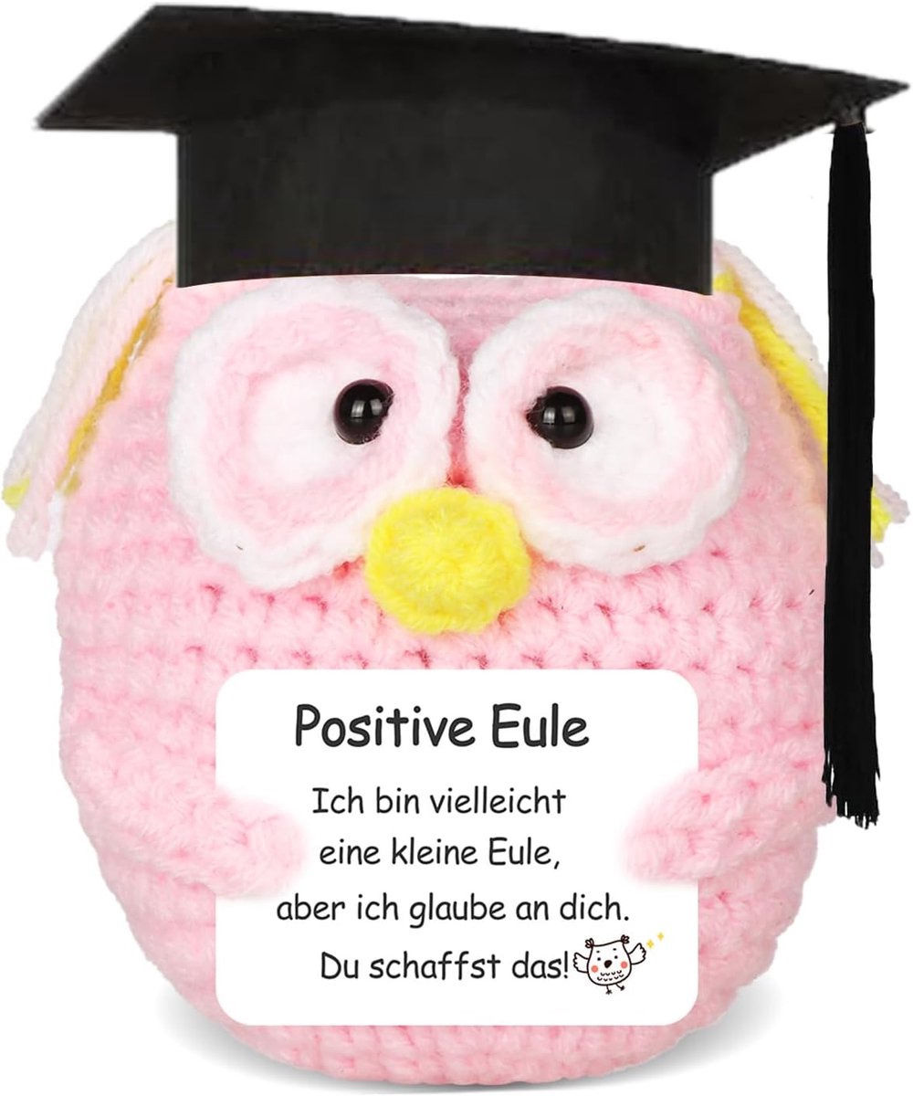 Gebreide uil positieve geschenken, pocket hug uil positieve aardappelvervanging, moedermaker cadeau, goede verbetering cadeau, geluksbrenger examen cadeau (roze)
