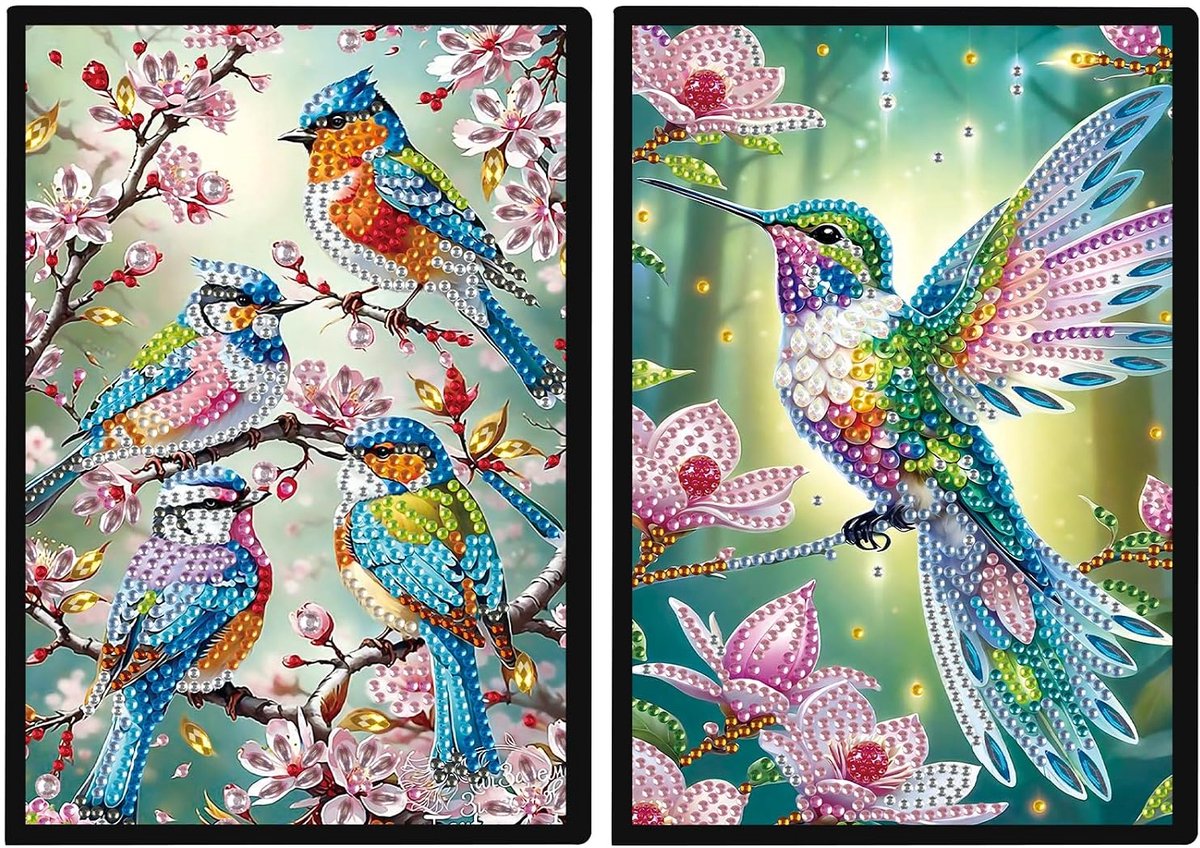 2 Pack Diamant Schilderen Notitieboek A5 Blank Diamant Schilderij Notitieboeken Diamant Art Secret Journal Schetsboek voor Volwassenen Vogels en Bloemen Kolibrie Schetsboek Diamant Art Journal