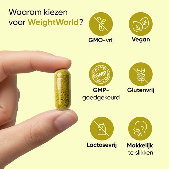 Een hand houdt een gele WeightWorld Berberine capsule vast. Iconen: GMO-vrij, Vegan, GMP-goedgekeurd, Glutenvrij, Lactosevrij, Makkelijk te slikken.