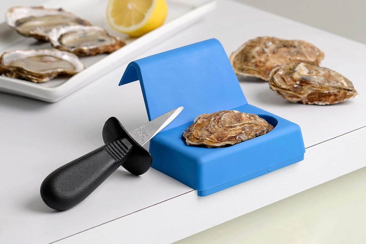 Oesteropeningsset - Oestermes set - Oesters openen - Veilige houder met klapdeksel - 16 x 12 x 8 cm - Blauw