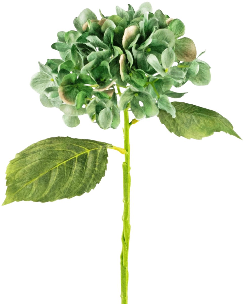 Easyplants | Kunst Hortensia Deluxe 33 cm donkergroen | Zijde | Nepbloemen | donkergroen | Onderhoudsvrij | Kant-en-klaar
