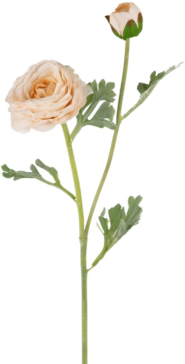 Easyplants | Kunstranonkel Real Touch Crème 60cm | Zijde | Nepbloemen | crème | Onderhoudsvrij | Kant-en-klaar