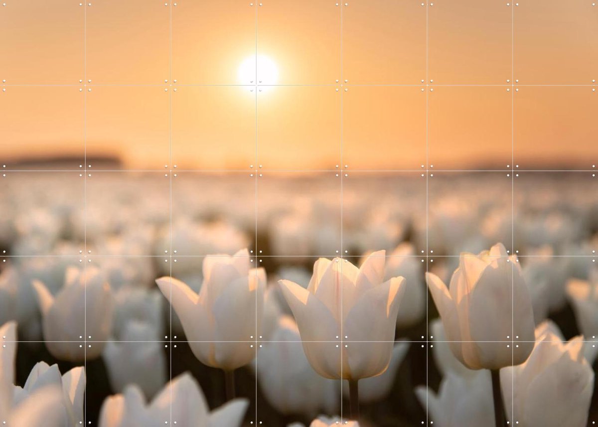 IXXI Tulip Dreams, Claire Droppert - 140 x 100 cm - Gratis ophangtool - Grote wanddecoratie en posters - Fotografie, Gang, Studeerkamer, Woonkamer