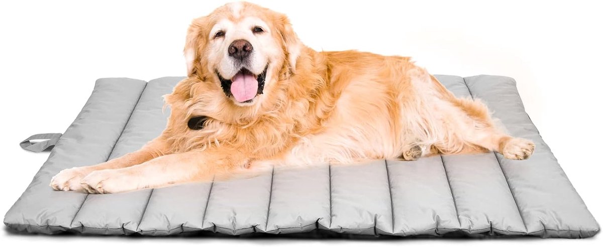 Waterdichte hondenmat voor buiten, wasbare hondenmat voor onderweg, antistatisch, hygiënisch, opvouwbaar hondenbed, grote reisdeken voor huisdieren, 110 x 68 cm (lichtgrijs)
