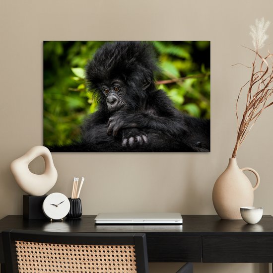 Affiche Gros plan jeune gorille - 60x40 cm
