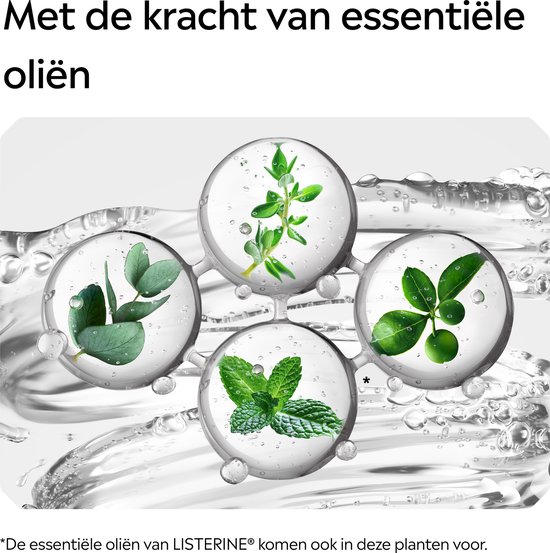 Molecuulstructuur met essentiële oliën van munt, eucalyptus, tijm en citrus.