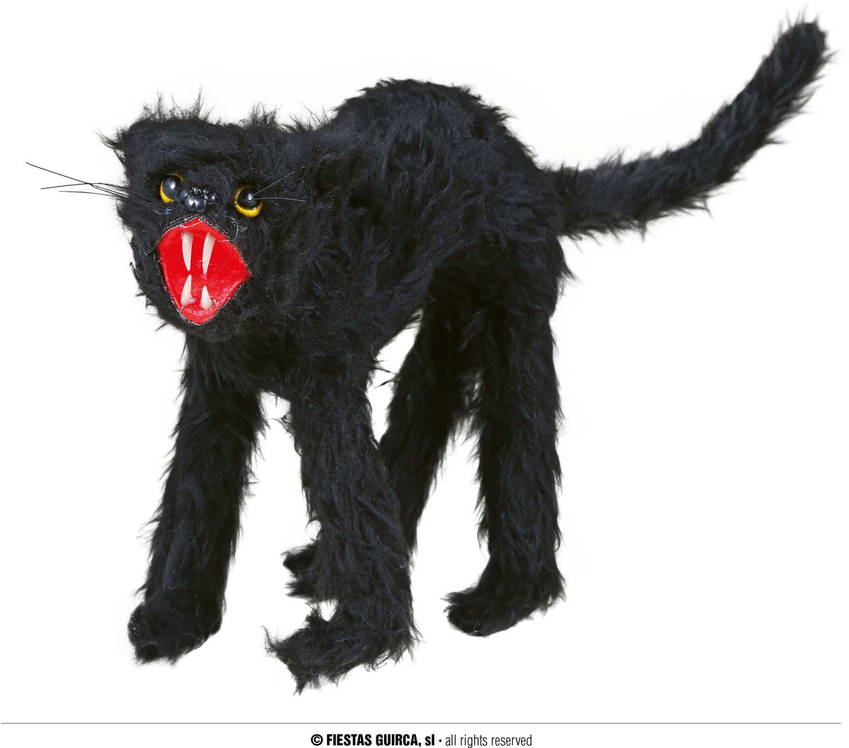 Halloween zwarte kat