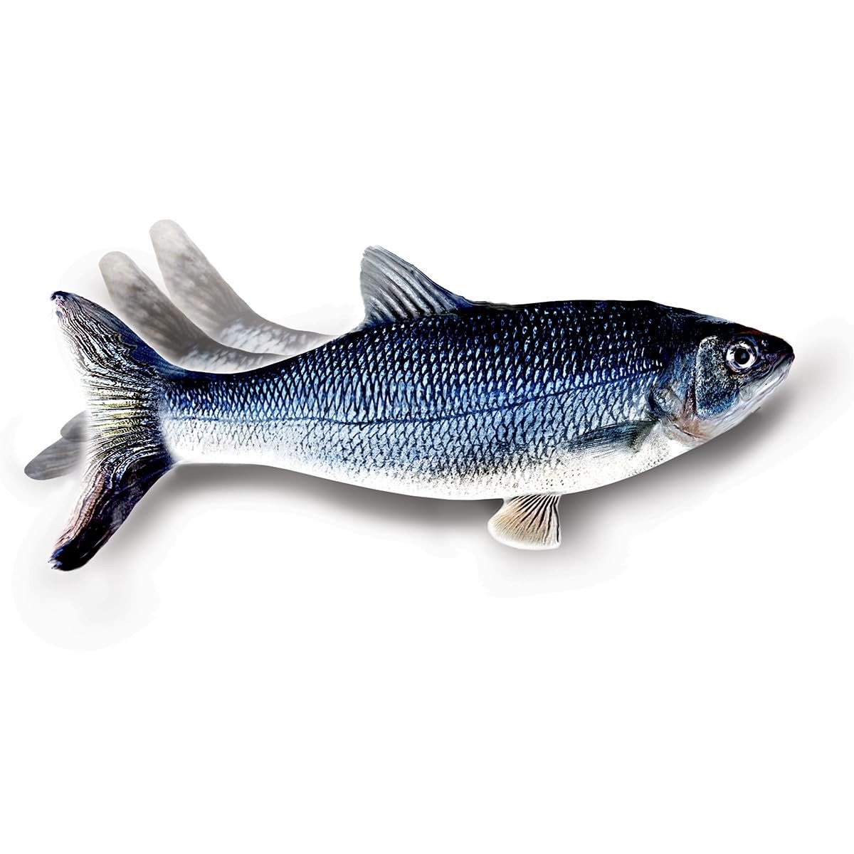 Solidchoice - Realistisch Katten Speelgoed met Bewegingssensor