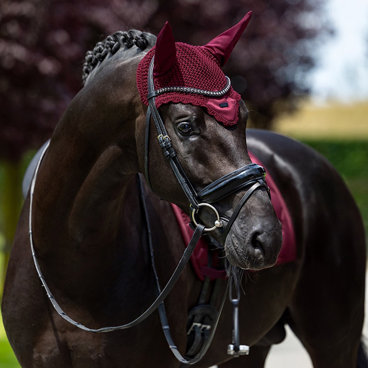Equestrian Stockholm Oornetje Equestrian Stockholm Satin Merlot Donkerrood