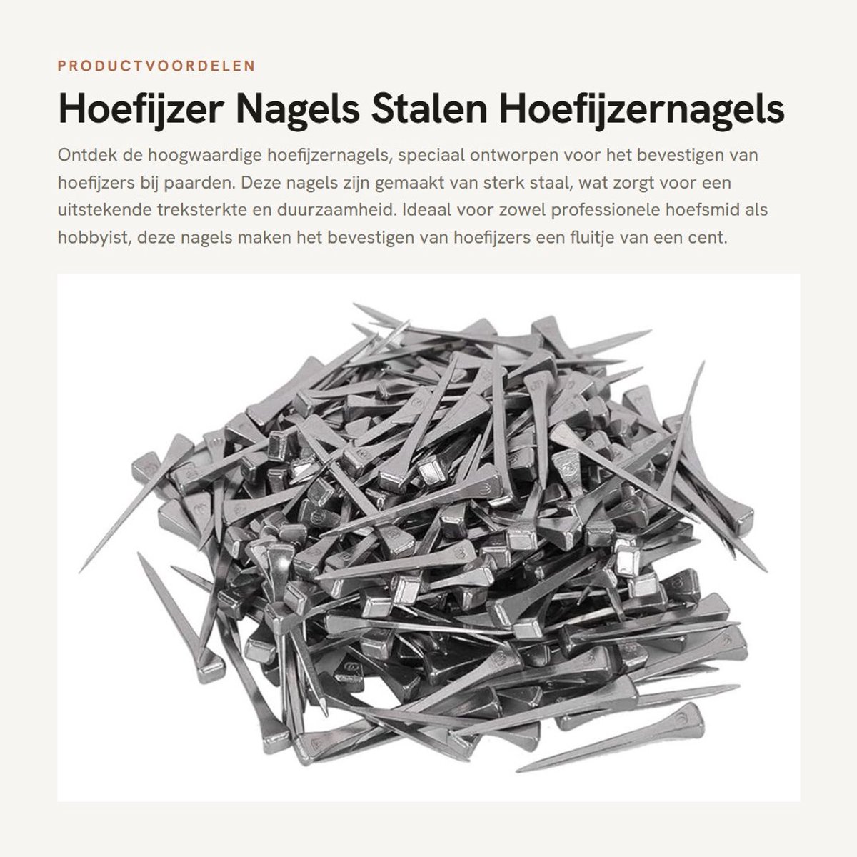 Dailygoods- Hoefijzernagels 250 Stuks - Stalen Nagels - Duurzaam - Eenvoudig te gebruiken - Hoge treksterkte - Stabiele prestaties - Paardennagels