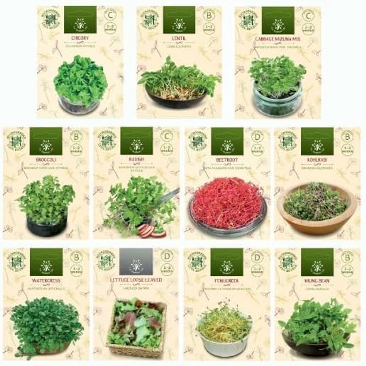 Dailygoods- Zaden Microgreen Mix - 11 Verpakkingen Groentezaden - Tuinzaden Planten - Kweekset Starter Kit - Gezondheidsvoordelen - Eenvoudige Kweek