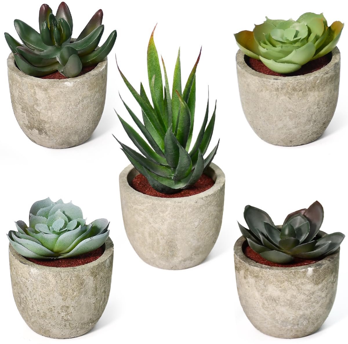 Faux vetplantenpot