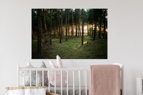 Sticker Muursticker Forêt - Soleil qui brille à travers les arbres de la forêt - 90x60 cm - feuille autocollante - sticker mural repositionnable
