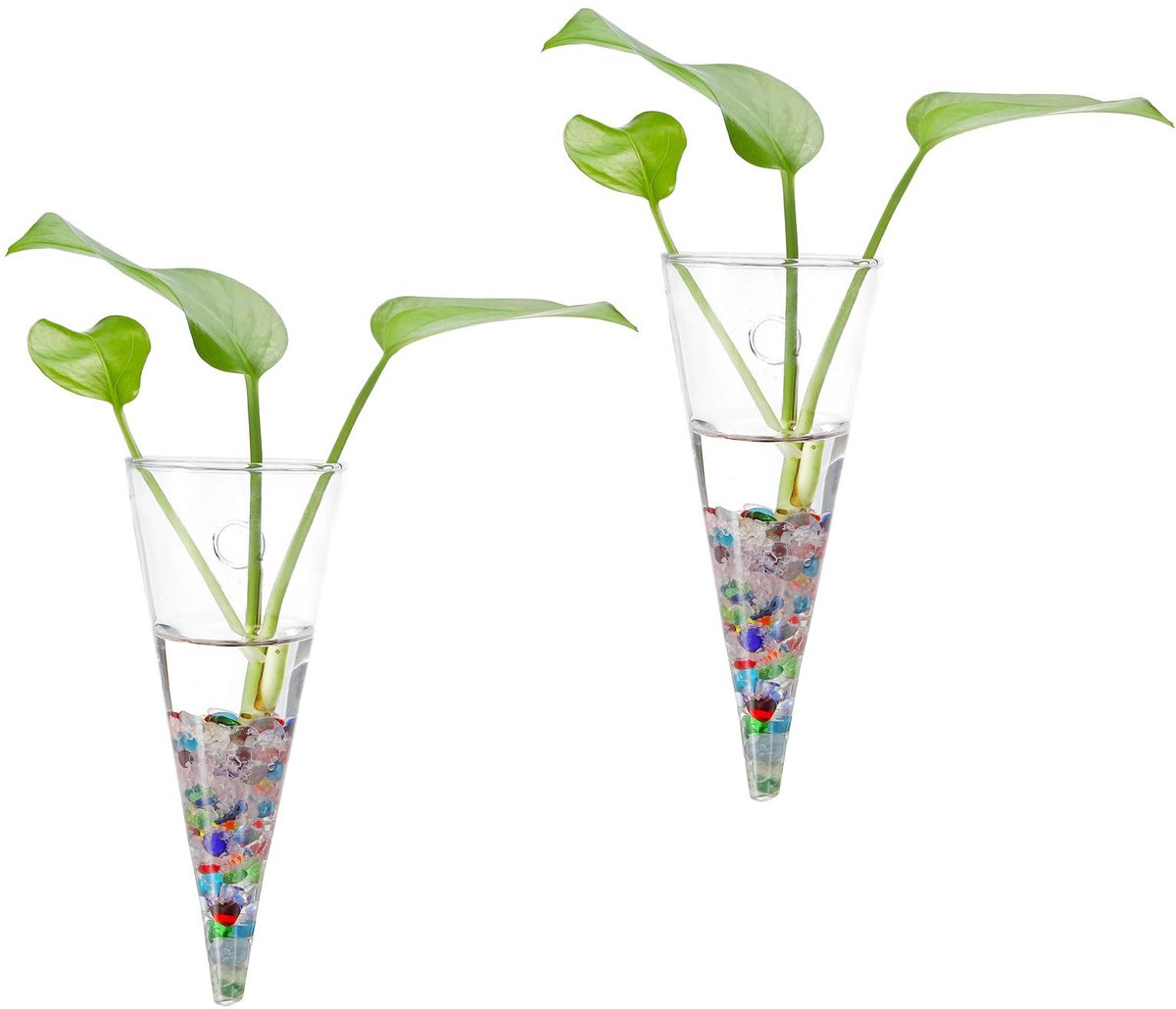 Muur vetplant 7,1 x 2,8 inch, 2 stuks wandgemonteerde plantenhouder vermeerderingsstation container bloemenvazen voor hydrocultuur kantoor woondecoratie binnen, transparant