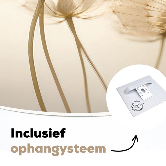 Close-up van gedroogde paardenbloemen. Tekst: 'Inclusief ophangsysteem'. Ophangsysteem met logo.