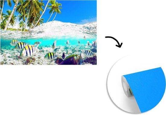 Behang - Fotobehang Strand - Vissen - Kleuren - Breedte 420 cm x hoogte 280 cm