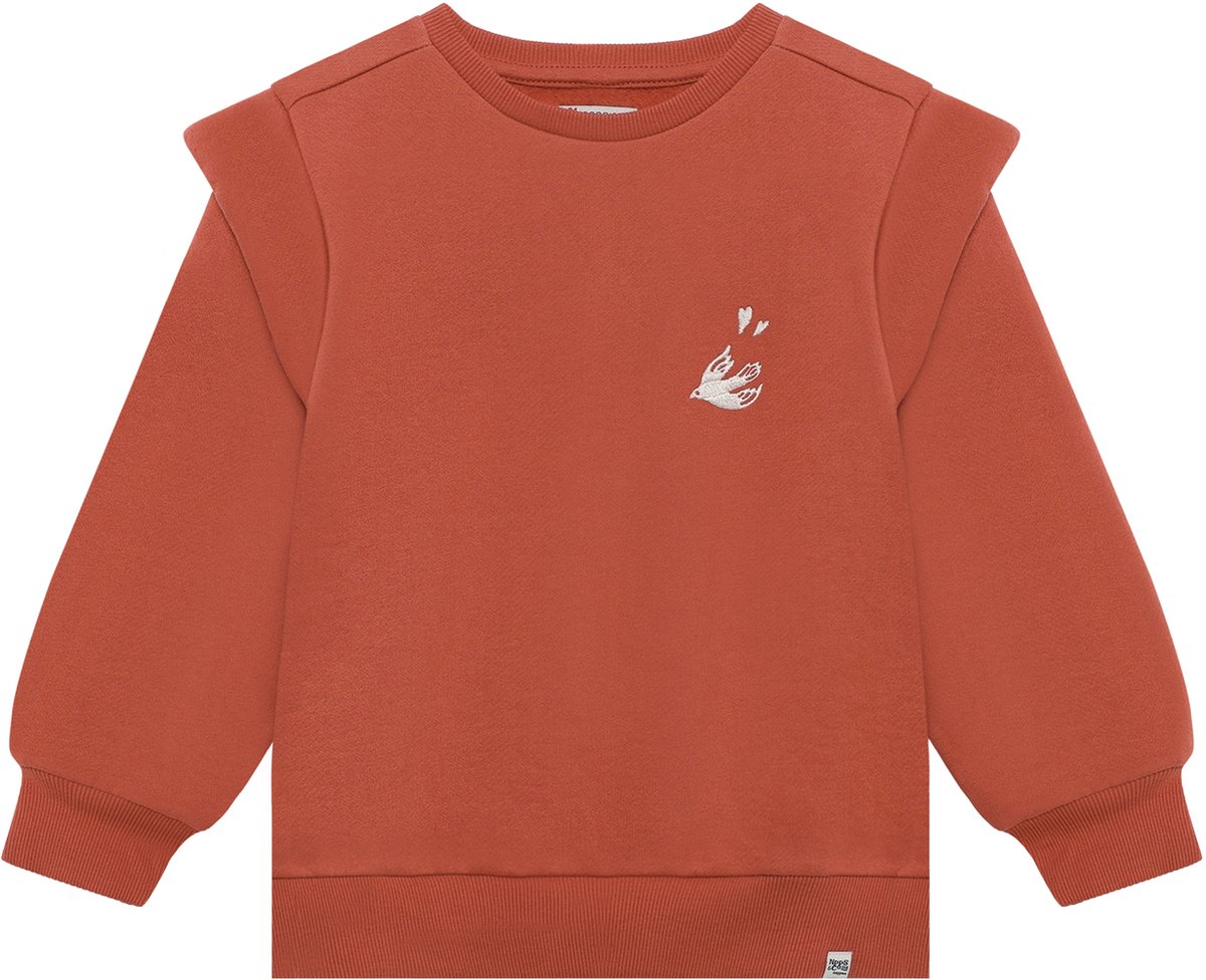 Noppies Trui - Dusty Cedar - Maat 128