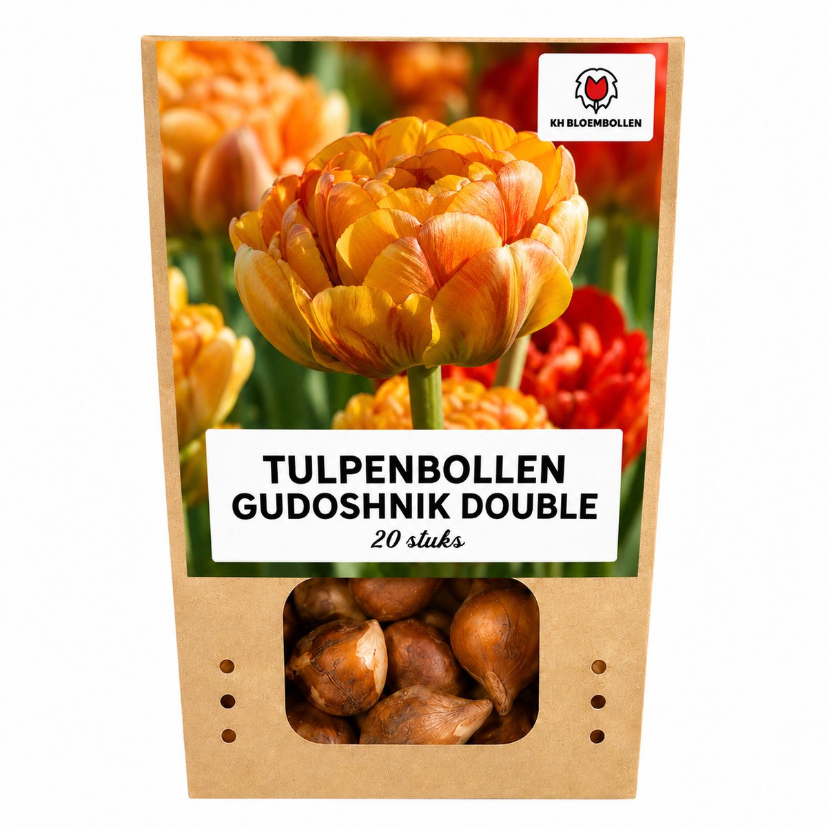 Tulpenbollen Gudoshnik Double – 20 Stuks | KH Bloembollen® | Geel, Oranje & Rode Dubbelbloemige Tulp – Pioenachtig & Kleurrijk – Voor Tuin of Pot – Maat 11/12 – Vers van de Teler