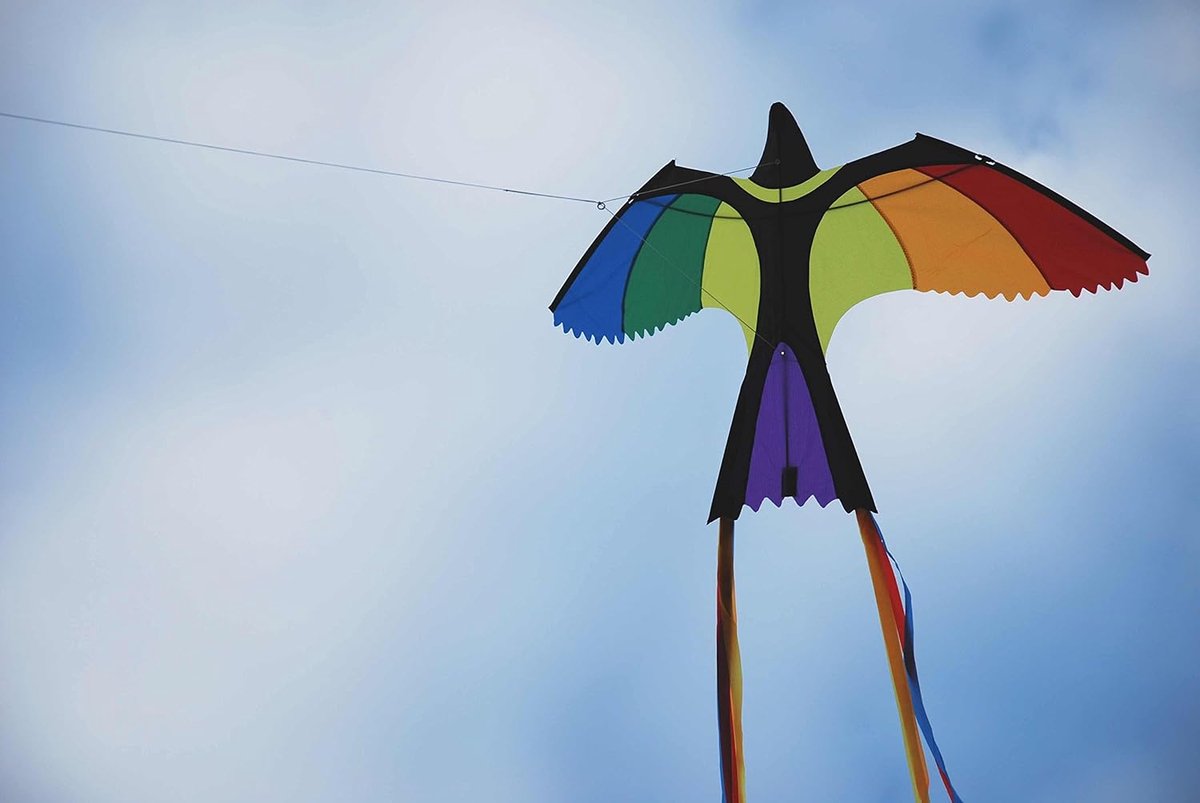 Vlieger Bonny Bird 130 cm - Kleurrijk - Kindvriendelijk - Ideaal voor beginners - SnelShoppen